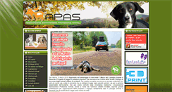 Desktop Screenshot of apasrsm.org